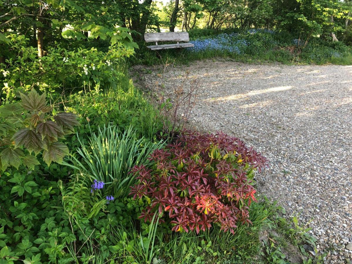 Landevejens B&B Holstebro Dış mekan fotoğraf