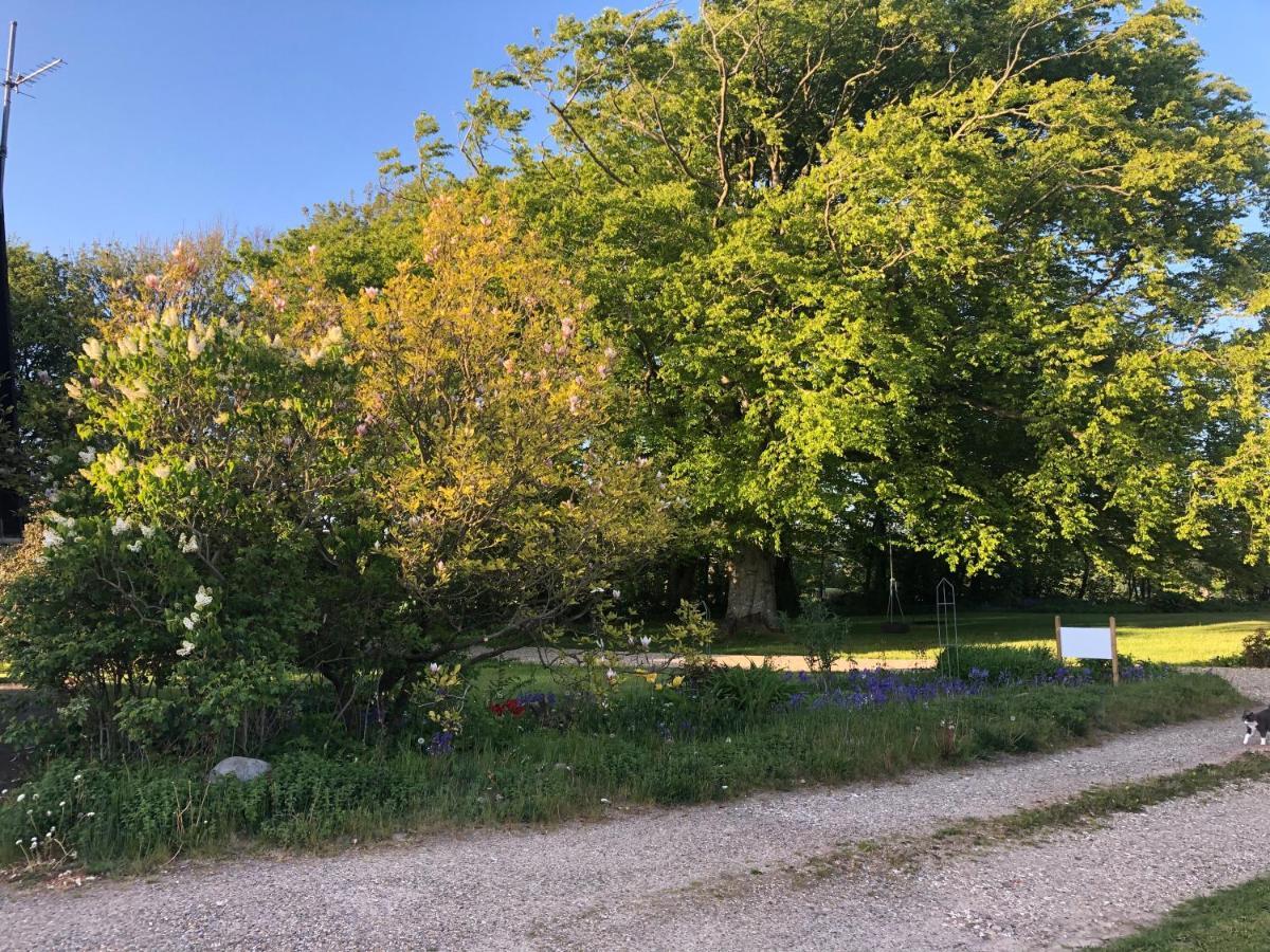 Landevejens B&B Holstebro Dış mekan fotoğraf