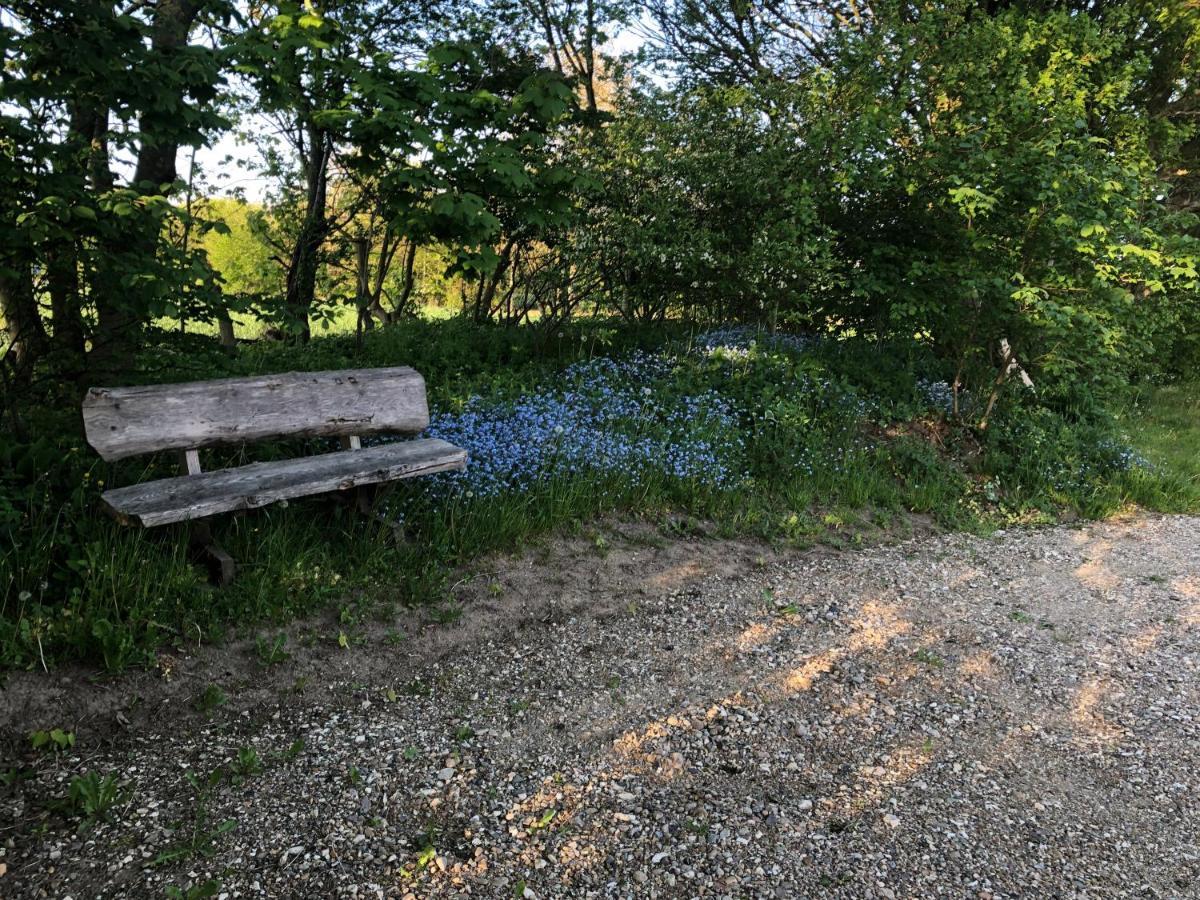 Landevejens B&B Holstebro Dış mekan fotoğraf